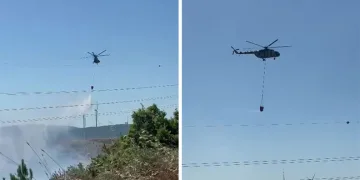 İnegöl’de kene alarmı
