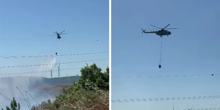 İnegöl’de kene alarmı