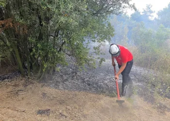 Türkiye’nin dört bir yanından gelen Giresunlular Bursa’da buluştu