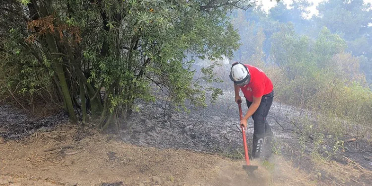 Türkiye’nin dört bir yanından gelen Giresunlular Bursa’da buluştu