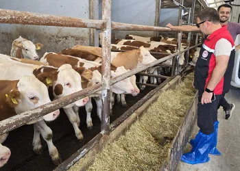 Nilüfer koroları Kıbrıs’ta sahne aldı