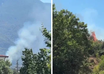 Kestel’de orman yangını