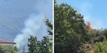 Kestel’de orman yangını