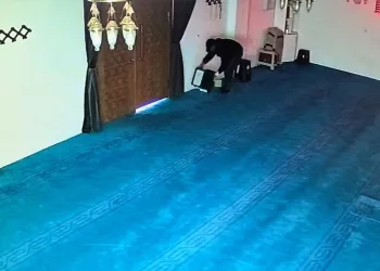 Alevler, ormana sıçramadan söndürüldü