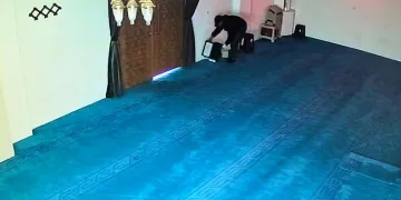 Alevler, ormana sıçramadan söndürüldü