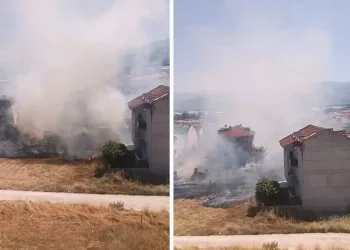 Bursa’da 649 yıllık Geyikli Baba geleneği yaşatıldı