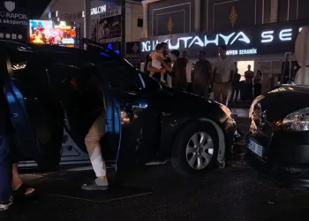 Bursa’da otluk alanda yangın