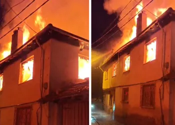 Bursa’da otluk alanda yangın
