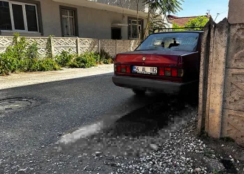 Burhaniye’de saman yangını 4 saat de söndürüldü