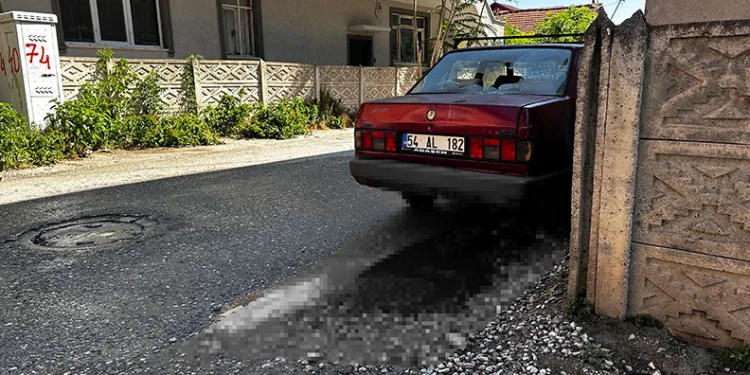 Burhaniye’de saman yangını 4 saat de söndürüldü