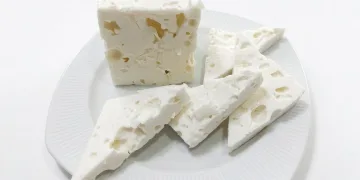 İnegöl Belediyesi’nin “Yalın Belediyecilik” projesine bakanlıktan verimlilik ödülü