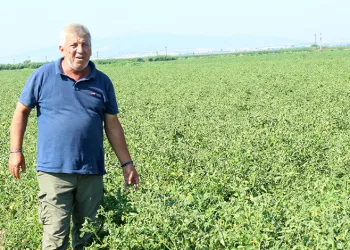 Manyas Gölü’nden gelen ilaçlı su sorununa üretici çözüm bekliyor