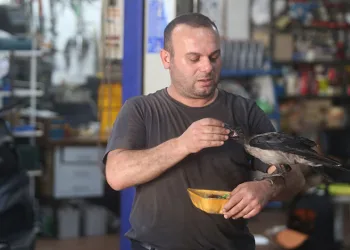 Bursa’da kesinleşmiş hapis cezasıyla aranan 7 kişi yakalandı
