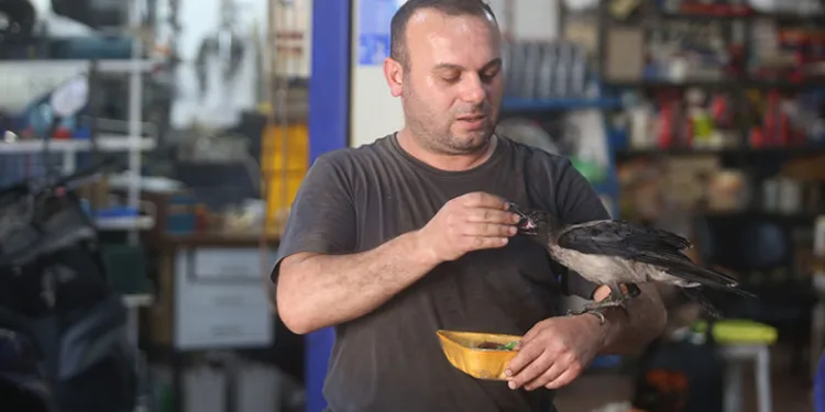 Bursa’da kesinleşmiş hapis cezasıyla aranan 7 kişi yakalandı