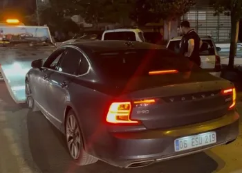 İnegöl’de kene alarmı