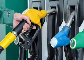 Gülistan Doku soruşturmasında yeni operasyon!