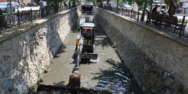 Türkiye’nin dört bir yanından gelen Giresunlular Bursa’da buluştu