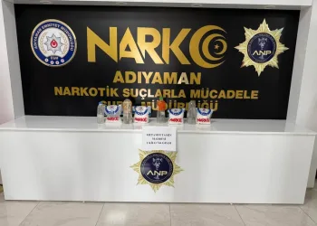 Ayvacık’ta araç yangını