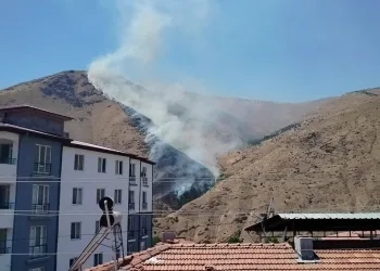 Ayvacık’ta araç yangını