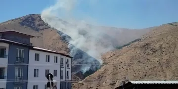 Ayvacık’ta araç yangını