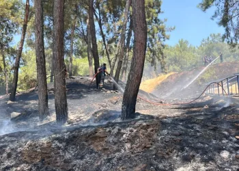 Ayvacık’ta araç yangını