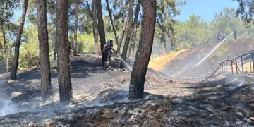 Ayvacık’ta araç yangını