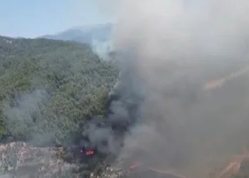 Ayvacık’ta araç yangını