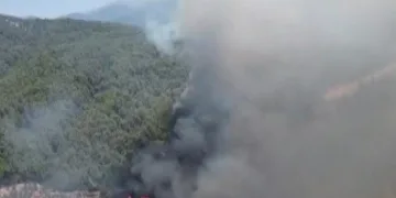 Ayvacık’ta araç yangını