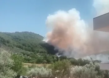 Ayvacık’ta araç yangını