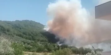 Ayvacık’ta araç yangını
