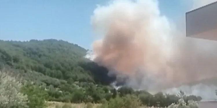 Ayvacık’ta araç yangını