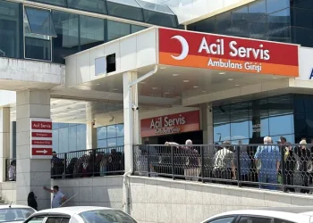 Ayvacık’ta araç yangını
