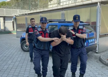 Ayvacık’ta araç yangını
