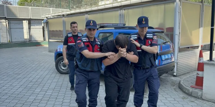 Ayvacık’ta araç yangını
