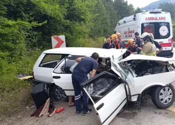 Batman’da yaramaz kedi kafasını tenekeye sıkıştırdı, itfaiye kurtardı