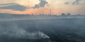 Tavşanlı’da motosiklet kazası, 1 yaralı