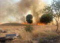 Tavşanlı’da motosiklet kazası, 1 yaralı