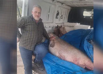 Av yasağının bittiği gün 130 kiloluk turna balığı yakaladı