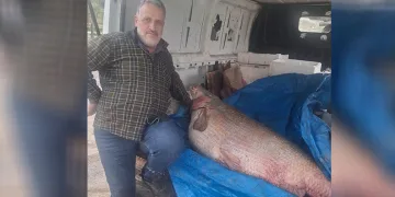 Av yasağının bittiği gün 130 kiloluk turna balığı yakaladı