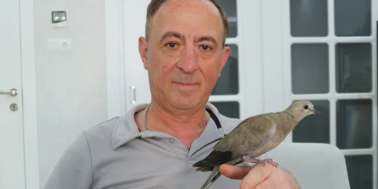 Şırıngayla beslediği yaralı kumru en yakın dostu oldu