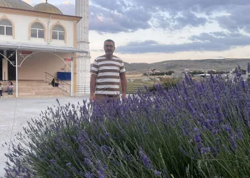 Lavantalar cami bahçesini renklendirdi