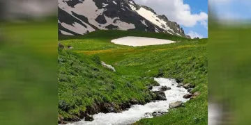 Van’ın yaylaları, çiçekleri ve karlı zirveleriyle mest ediyor
