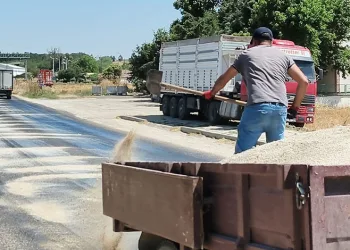 Edirne’de kavurucu sıcaklar asfaltı eritti: Belediye ekipleri yola kum serdi
