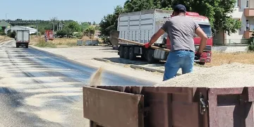 Edirne’de kavurucu sıcaklar asfaltı eritti: Belediye ekipleri yola kum serdi
