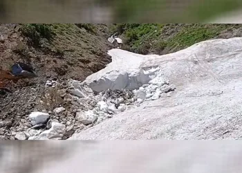 Bingöl’de yazın ortasında kar temizliği