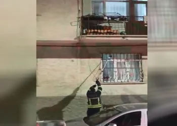 Pencere korkuluğundaki yılan ekiplerce yakalandı