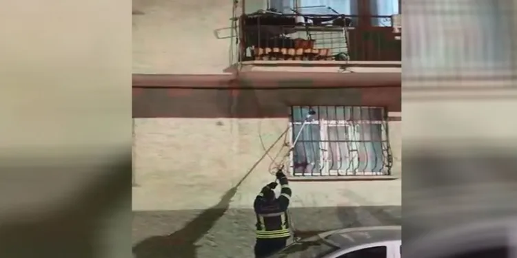 Pencere korkuluğundaki yılan ekiplerce yakalandı