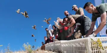 Ravanda Kalesi’nde doğa yeniden kanatlandı