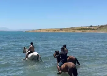 Sıcaktan bunalan gençler atlarıyla Van Gölü’nde serinledi