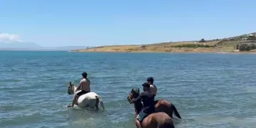 Sıcaktan bunalan gençler atlarıyla Van Gölü’nde serinledi